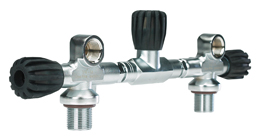 Manifold